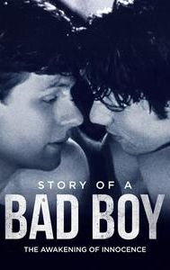 The Story of a Bad Boy