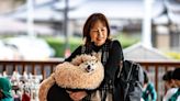 Dogecoin dog Kabosu dies at age of 18