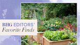 6 Gardening Must-Haves Our Home and Garden Editors Are Loving This Season