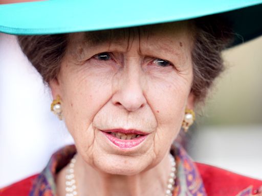 Princess Royal begins first public engagement since horse-related accident