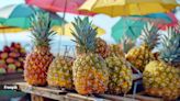 Spanish youths are busy using upside-down pineapples to find love; here’s what experts say about this viral trend