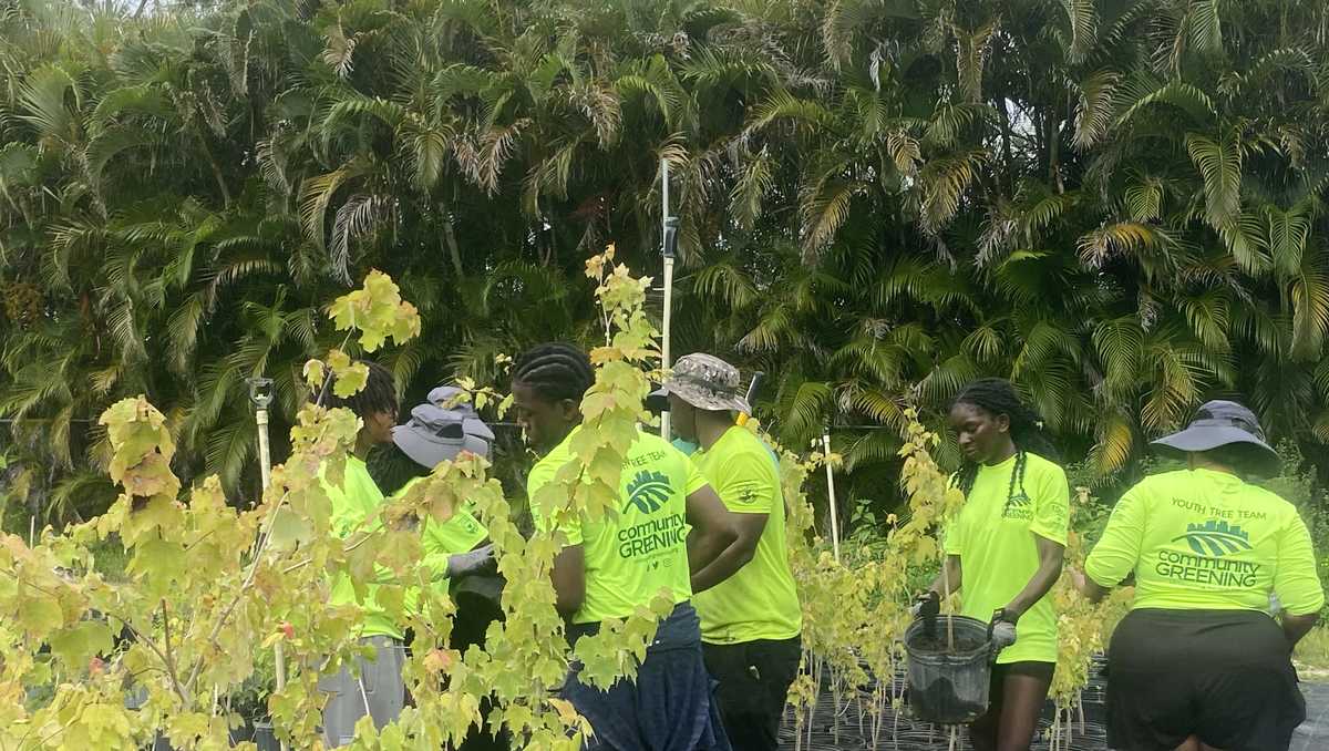 'I want to help my community': Palm Beach County students are planting trees to help the environment