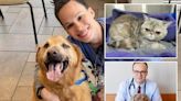 These veterinarians have seen it all — here are their stories