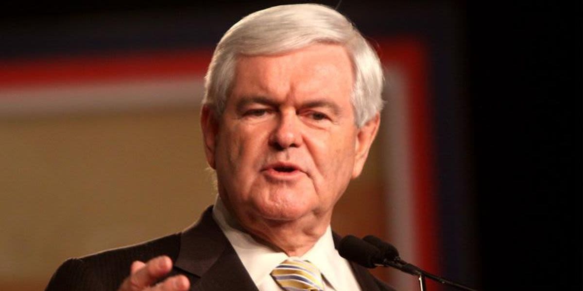 Newt Gingrich inadvertently gives Biden a killer line to use on Trump