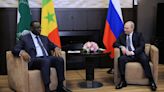 Putin se reúne com líderes da União Africana e irá negar culpa por crise alimentar, diz Kremlin