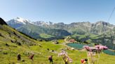 Ski resorts are so much more enjoyable in summer – here are the best ones to visit