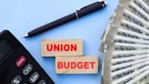 Budget size almost unchanged from interim, shows govt's commitment to fiscal prudence: Experts | Business Insider India