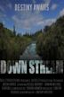 Down Stream | Adventure