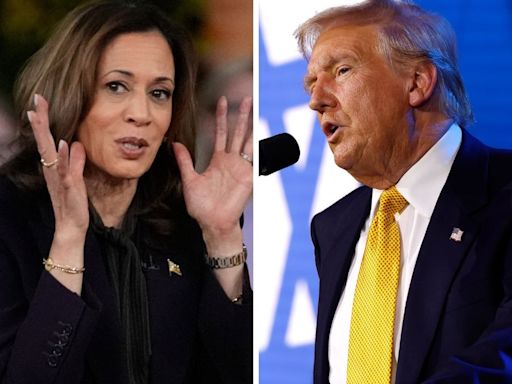 Harris campaign launches new ad tying Trump to Robinson scandal in battleground North Carolina: Live