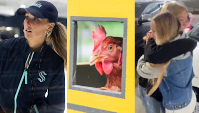 Finally, some good news: B.C. chicken lands world record, NHL delivers history-making moment and two friends separated by war reunite