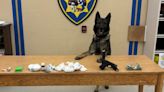 CHP dog helped locate large quantities of drugs in San Francisco