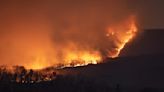 Fires have consumed nearly 20,000 acres in Va. this spring. That could be good for the environment.