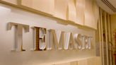 Temasek portfolio value rises on India profits; to build Middle East Presence