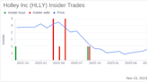 Insider Buying Alert: President and CEO Matthew Stevenson Acquires 25,000 Shares of Holley Inc ...