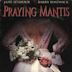 Praying Mantis (film)