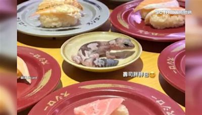 女大生守宮放餐盤 衛生局「不罰學生罰店家」挨轟