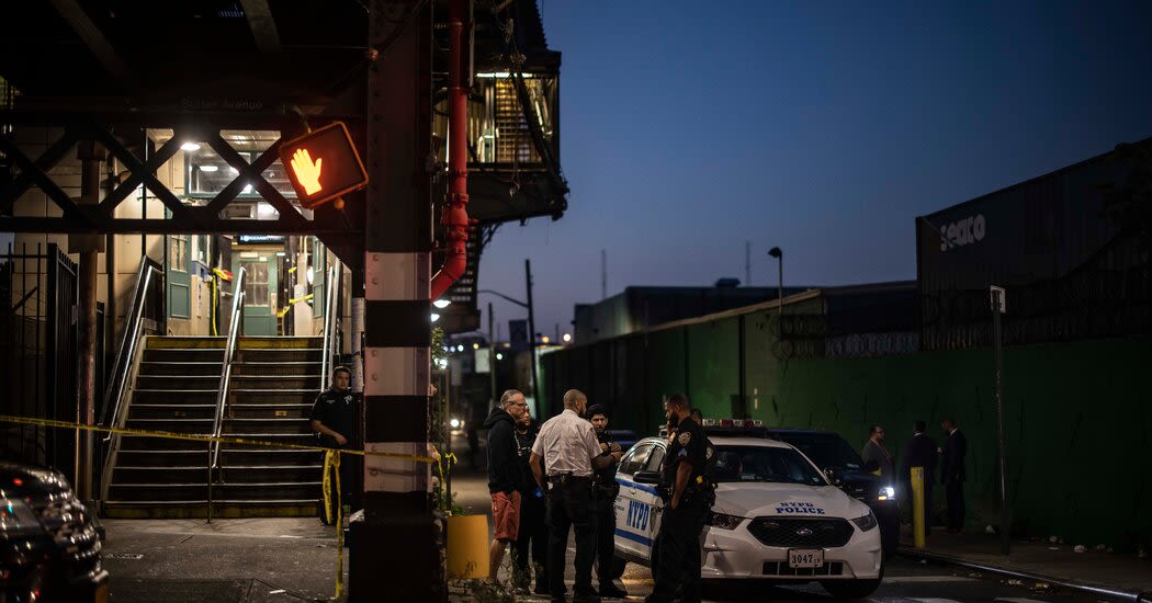 Critics Question N.Y.P.D. Shootings After Fare Evasion Stop in Subway