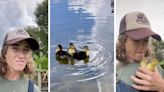 Farmer reunites ducklings with mom to save them from ‘turtle serial killer’ in funny TikTok