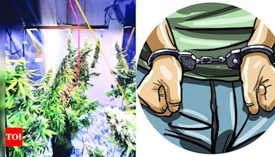 Goa cops bust Russian DJ’s lab, seize hydroponic weed worth Rs 1 crore, arrest him | Goa News - Times of India