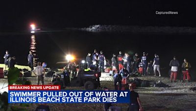 New York man identified as man pulled from Lake Michigan at Beach State Park: autopsy report