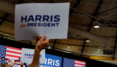 Harris campaign pulls in cash from ‘white dudes’ and women in online events