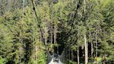 Amanda Trail features old-growth forest, ocean views on central Oregon Coast