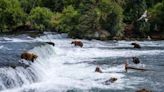 New study says social media drives visitation in National Parks, especially in Alaska