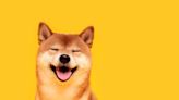 Shiba Inu: Buy the Dip?