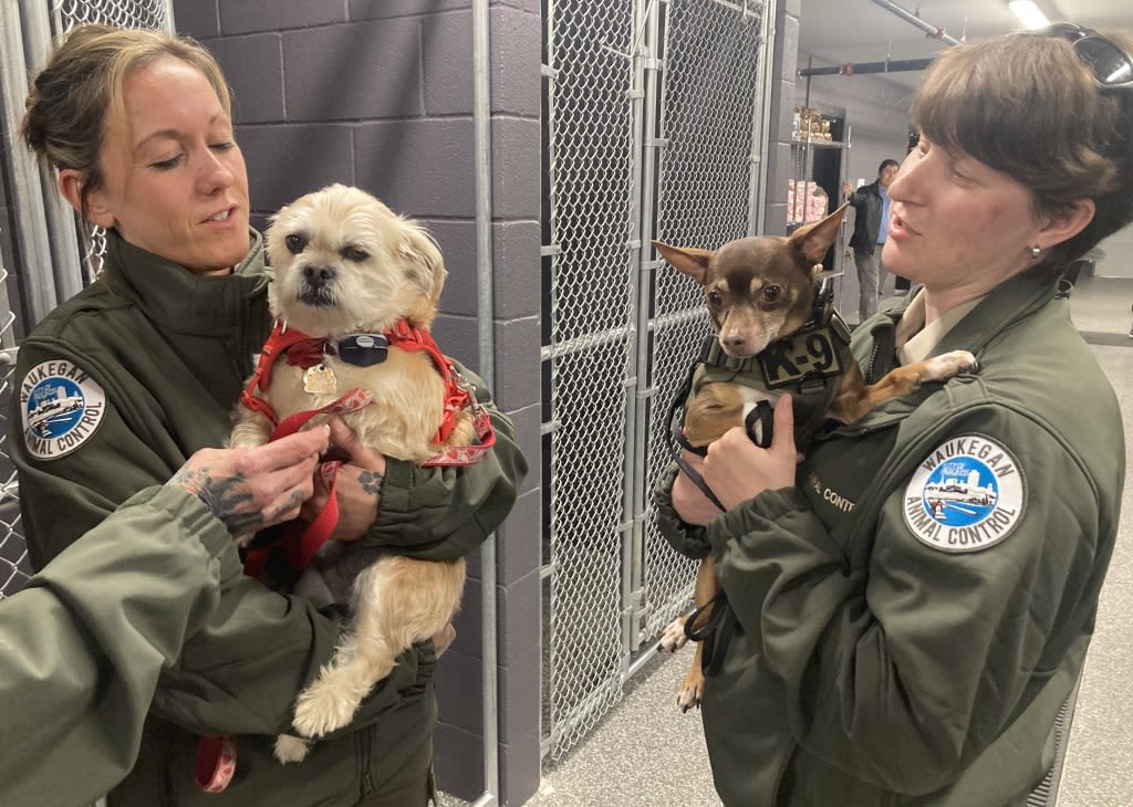 Waukegan opens new animal control facility; ‘Our animals are safe here’