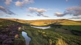 "The right to swim is not just legal permission" – the wild swimmers planning their own Kinder trespass