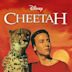 Cheetah (1989 film)