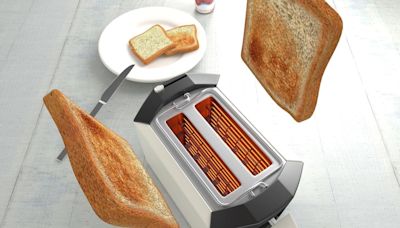 How the toaster evolved