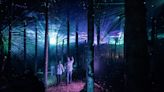 The Wilderness Resort in Wisconsin Dells will debut an enchanted night walk this fall