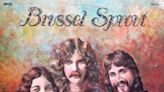 Monroe men part of Brussel Sprout band in 1970s