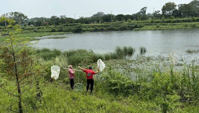 嘉縣中埔滯洪池疑發現鱷魚 縣府派員巡查3天未尋獲