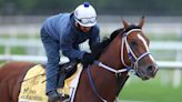 Preakness Stakes 2024: Breaking down the contenders and favorites