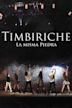 Timbiriche: La misma piedra