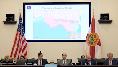 Voting-rights groups want federal court to reconsider Florida’s redistricting case