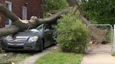 Detroit home, car crushed by neighbor's tree during thunderstorm