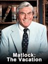 Matlock: The Witness Killings