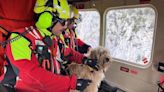 Rescatan en helicóptero a una perra que llevaba dos días atrapada en la montaña en Cantabria