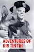 Las aventuras de Rin tin tin