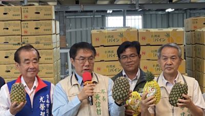 全臺首批鳳梨成功外銷紐西蘭 為台灣農產展開新篇章 | 蕃新聞