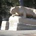 Nittany Lion Shrine