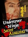 Undercover Ninja: Secret Assassins