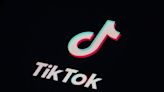 TikTok says it’ll ramp up fight against fake news, covert influence operations ahead of EU elections