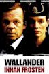 Wallander: Innan frosten