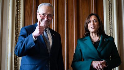 "Es capaz de liderarnos": Chuck Schumer y Hakeem Jeffries hacen público su apoyo a Kamala Harris