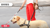 【錯誤】網傳圖卡「如果導盲犬獨自走向你，代表他所引導的人需要你的幫助，跟著牠走，你將會得到一份無比的感激」？