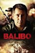 Balibo